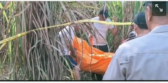 
					Tragis! Wanita Hamil 6 Bulan Ditemukan Tewas di Perkebunan Tebu Ogan Ilir